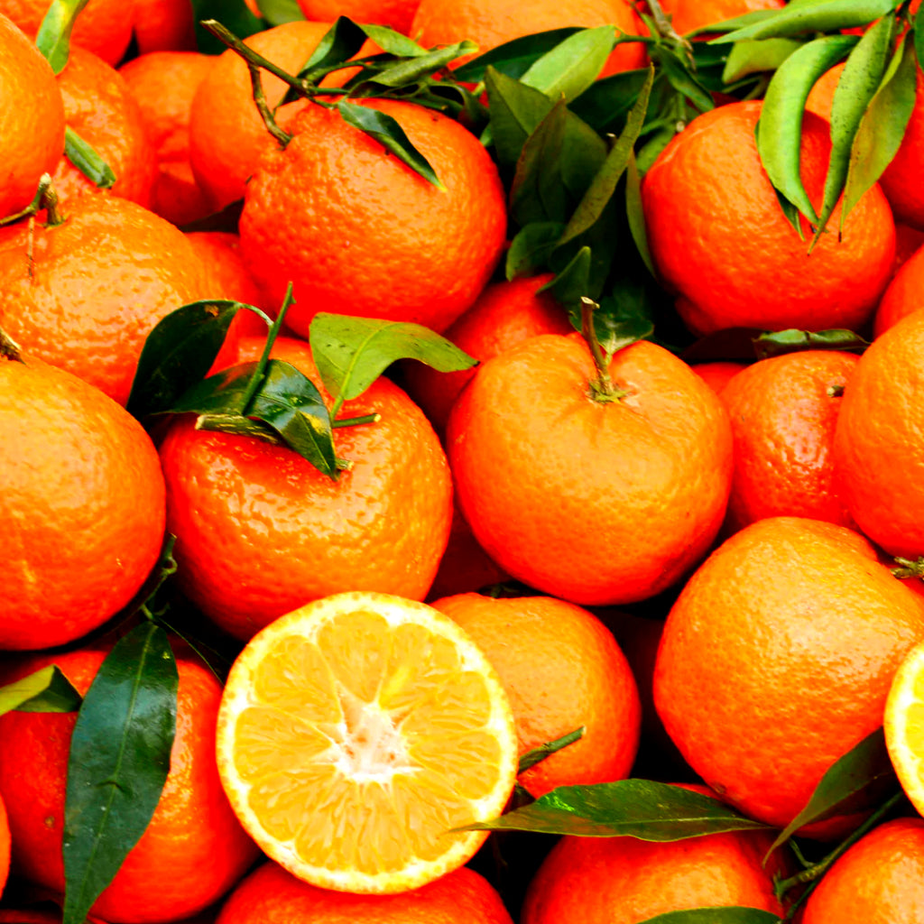 Clementine - 10ml