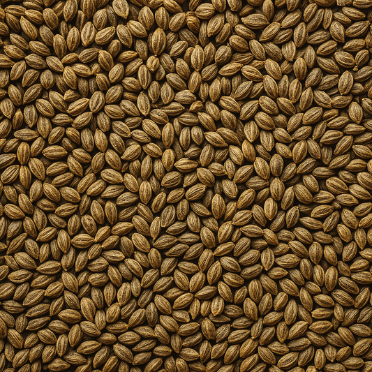 Celery Seed - 10ml